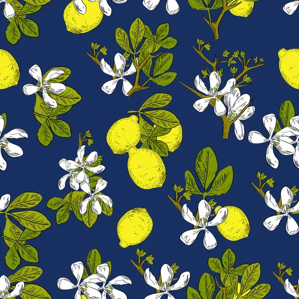 Vektör limon ve çiçek kroki tarzı ile mavi arka plan narenciye seamless modeli çizilmiş. Egzotik koleksiyonu.