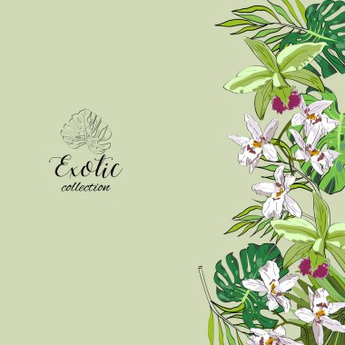 Tropikal el egzotik toplama arka plan yaprak ve çiçek ile çekilmiş. Ambalaj tasarımı.