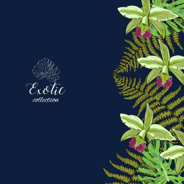 Tropikal el egzotik toplama arka plan yaprak ve çiçek ile çekilmiş. Ambalaj tasarımı.