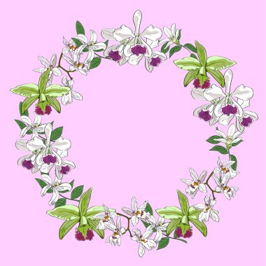 Vektör el çekilmiş orkide çiçek çelenk, pembe arka plan izole