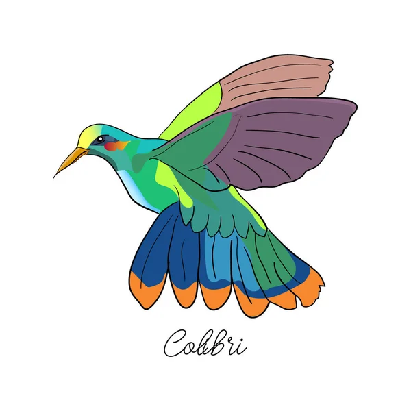 Narysowane logo tropikalny wektor symbol colibri ptaka na białym tle w stylu szkicu. Szablon projektu logo. — Wektor stockowy
