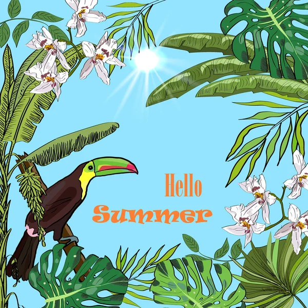 Olá verão design de vetor tropical para banner ou panfleto com bananeiras, orquídeas, sol e tucano . — Vetor de Stock