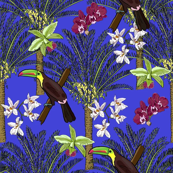 Tropical dibujado a mano exótica colección sin costuras con palmeras, orquídeas y tucanes. Paquete, papel pintado, textil, cubierta, diseño . — Archivo Imágenes Vectoriales