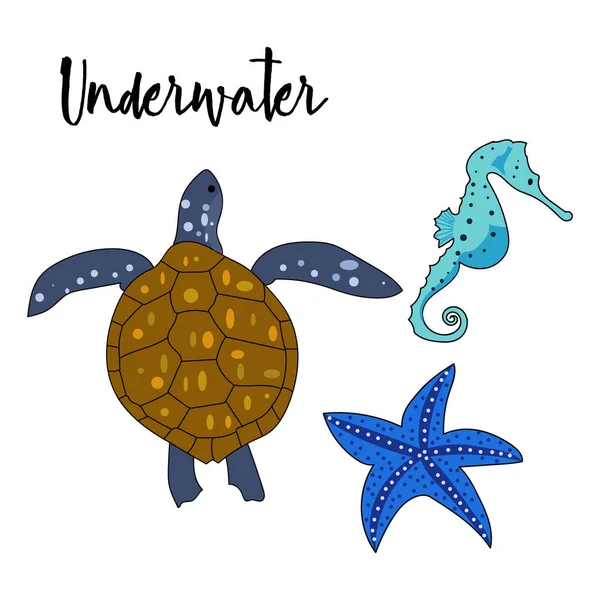Vektor gezeichnetes Gekritzel von Unterwassertieren. Schildkröte, Seepferdchen, Seestern auf weißem Hintergrund. — Stockvektor