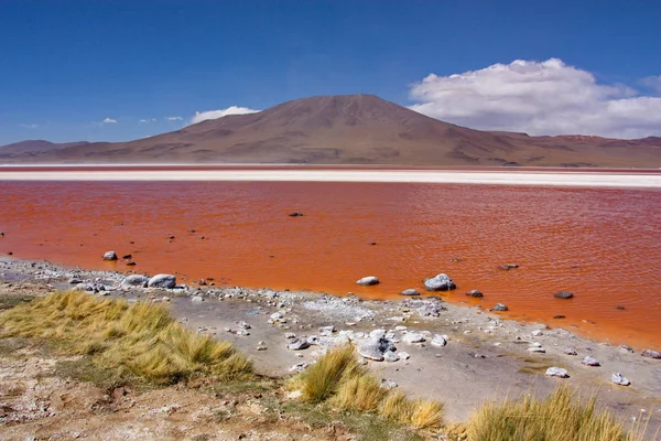 Lagoa do Colorado na Bolívia — Fotografia de Stock