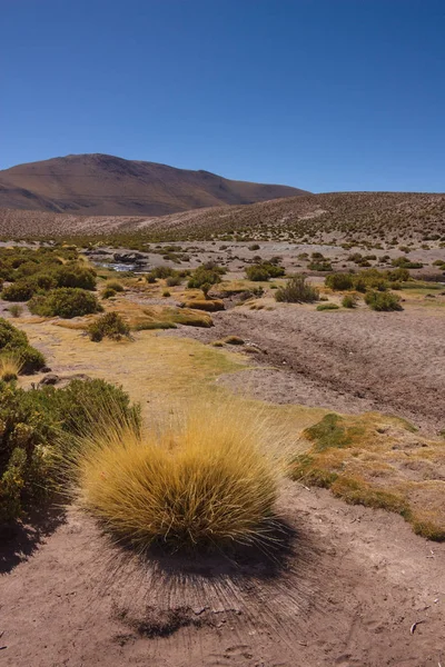 O deserto do Atacama no Chile — Fotografia de Stock