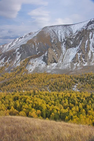 Altai in autunno — Foto Stock