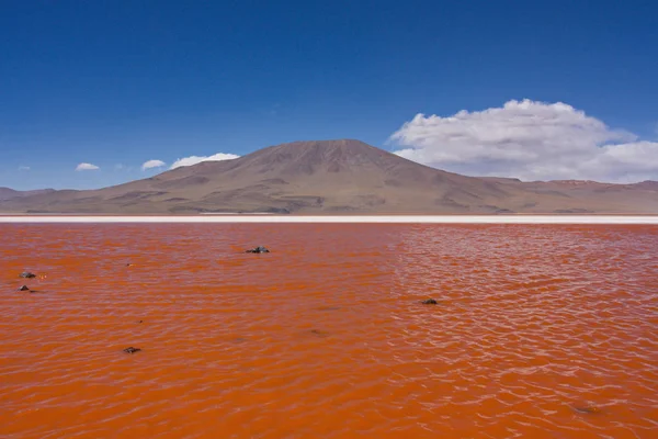 Blick auf Vulkan und Kolorado-Lagune in Bolivien — Stockfoto