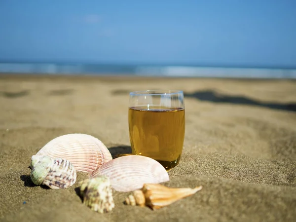 Bicchiere di tè con conchiglie — Foto Stock