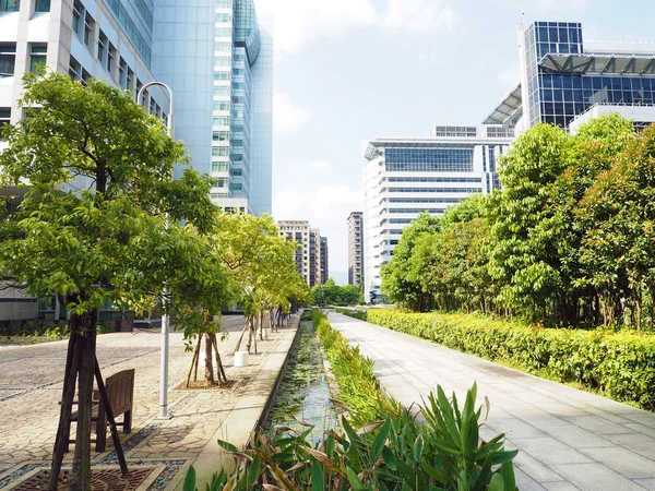 City tree — Stock Photo, Image