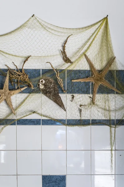 Ornamentik mit Fischen, Seesternen und einem Netzwerk — Stockfoto