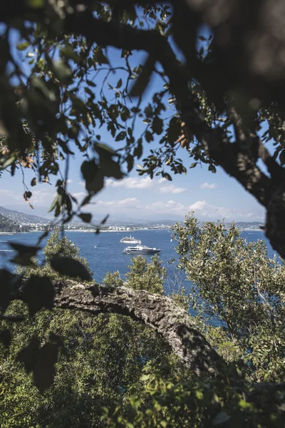 stock image Yachts on the french riviera