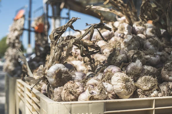 Braided dry garlics — Stock Photo, Image