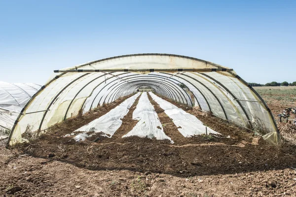 Empty greenhouse  New seeds. — Stock Photo, Image