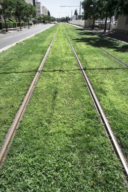 Tramvay ve yeşil çim