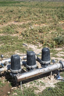 Üzüm bağları tarım musluk 