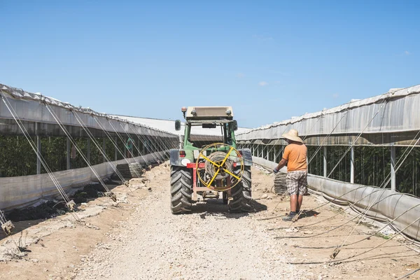 Tractor between greenhouses — Stock Photo, Image