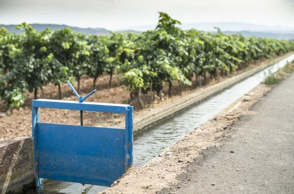 Riego — Foto de stock © deyangeorgiev2 #6314362