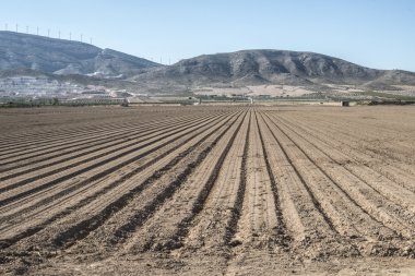 sürülmüş arazi, gozlerime 