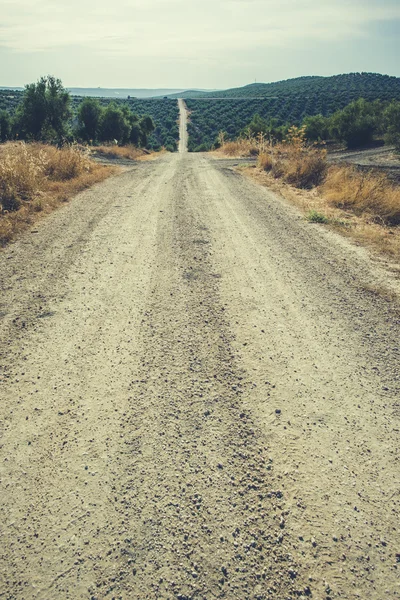 Estrada de terra vintage — Fotografia de Stock