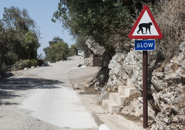 Σημάδι μαϊμού στο δρόμο — Φωτογραφία Αρχείου