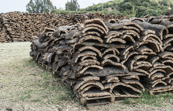 成堆的软木树皮 — 图库照片