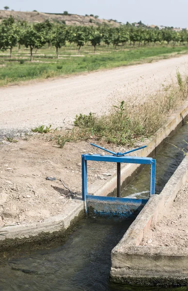 Irrigation canal and fruit trees — Stock Photo, Image