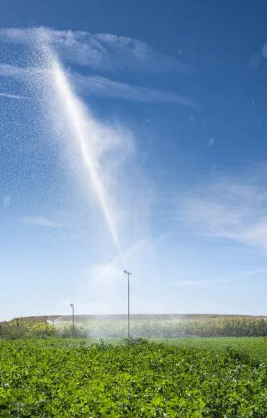Watering sprinkler system — Stock Photo, Image