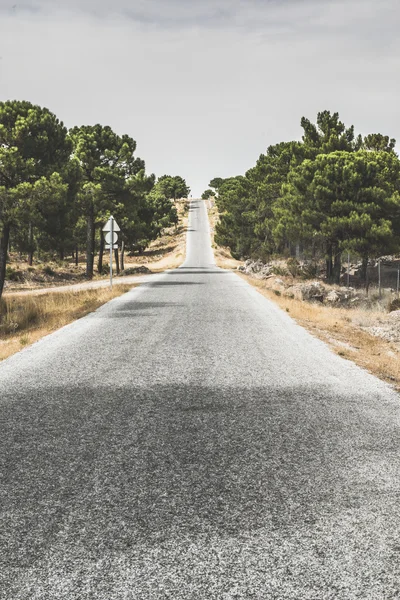 Road in the mountain. Dramatic scene — Stock Photo, Image