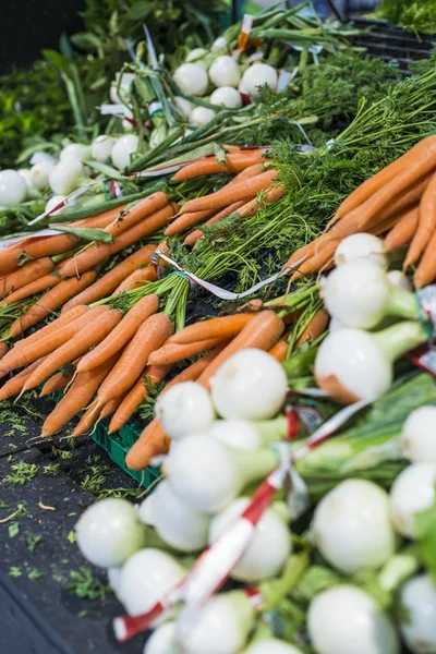 Zanahorias y cebollas almacenadas — Foto de Stock