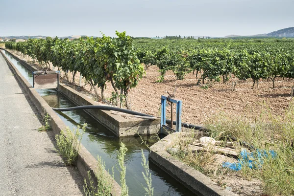 植物の灌漑運河 — ストック写真