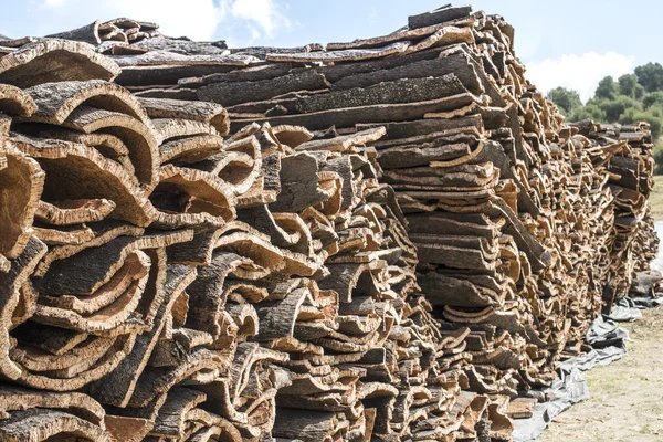Piles of bark from cork — Stock Photo, Image
