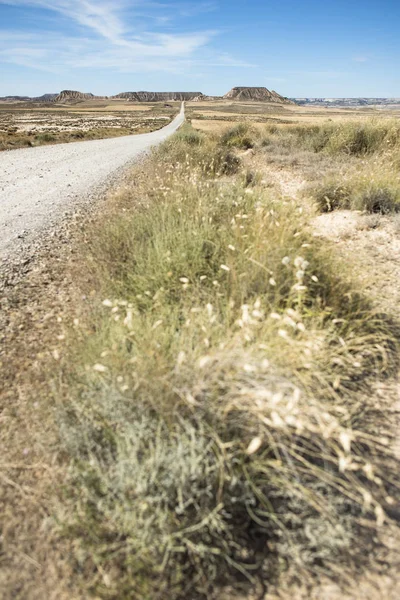 Wild west dirt road — Stock Photo, Image