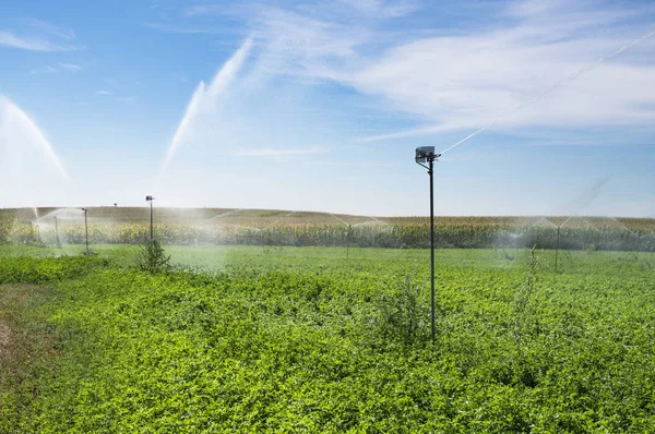 Agricultura tubos de rega — Fotografia de Stock