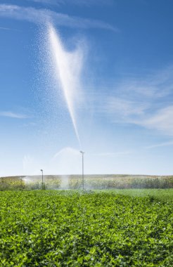 Sahada su fıskiyesi