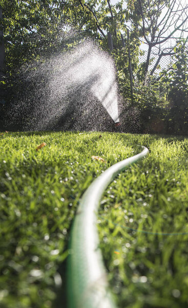 Garden hose and sprayer
