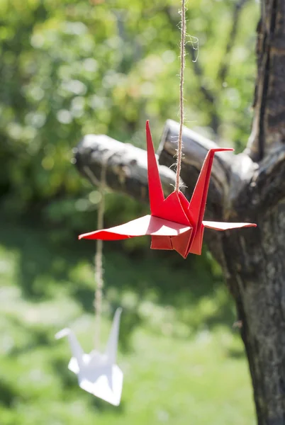 Origami cranes in the garden — Stock Photo, Image