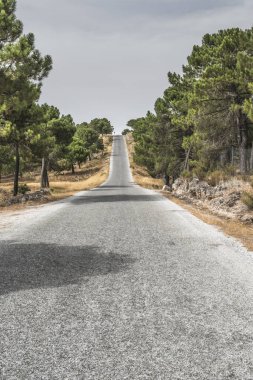 Kırsalda boş bir yol. 
