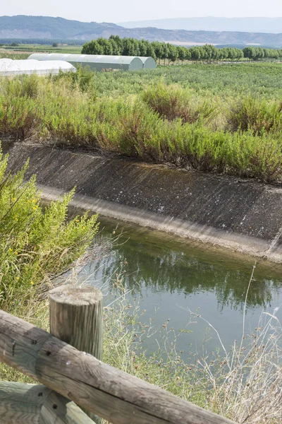 Canal d'irrigation et plantes — Photo