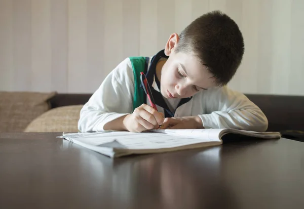 A fiú csinálja a házi feladatát. — Stock Fotó