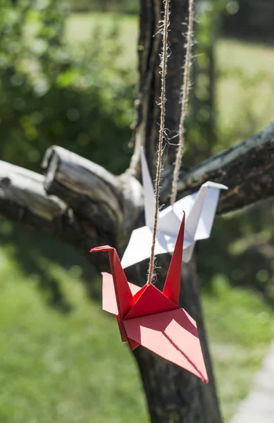 Grúas de origami en el jardín . — Foto de Stock