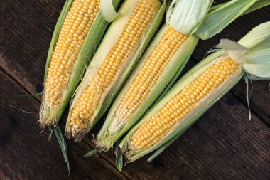 Corncobs tarihinde ahşap rustik masa