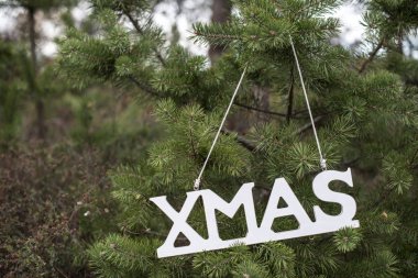Köknar üzerinde asılı yazı Xmas 