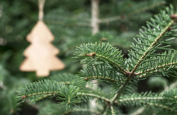 Weihnachtsbaumspielzeug — Stockfoto