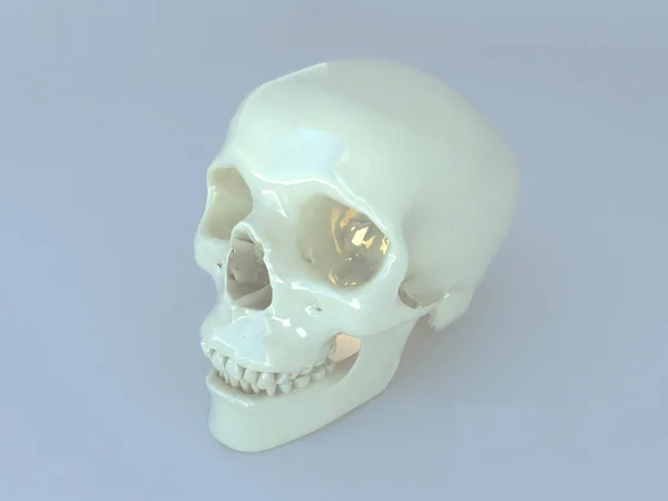 Renderização 3D de um scull humano — Fotografia de Stock