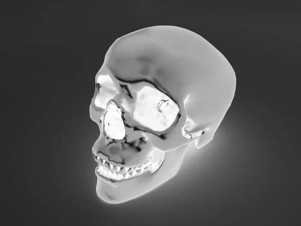 3D render az emberi scull röntgen — Stock Fotó
