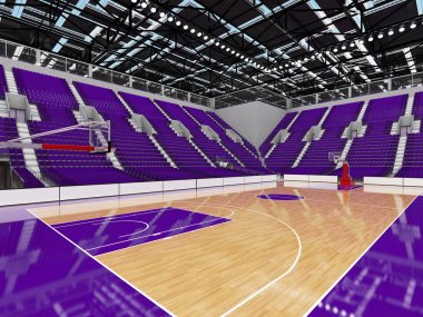 Işıklar ve on bin hayranları için mor koltuk VIP ile basketbol için güzel modern spor arena kutuları
