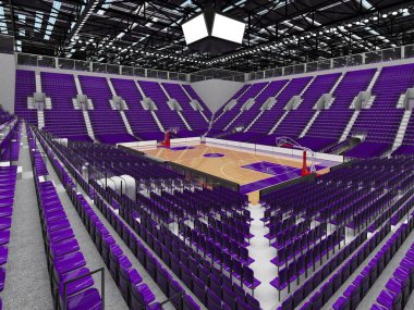 Işıklar ve on bin hayranları için mor koltuk VIP ile basketbol için güzel modern spor arena kutuları