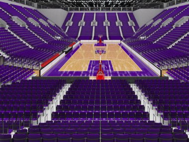 Işıklar ve on bin hayranları için mor koltuk VIP ile basketbol için güzel modern spor arena kutuları