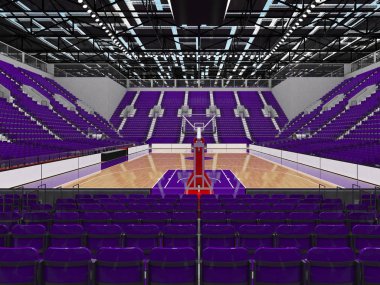 Işıklar ve on bin hayranları için mor koltuk VIP ile basketbol için güzel modern spor arena kutuları